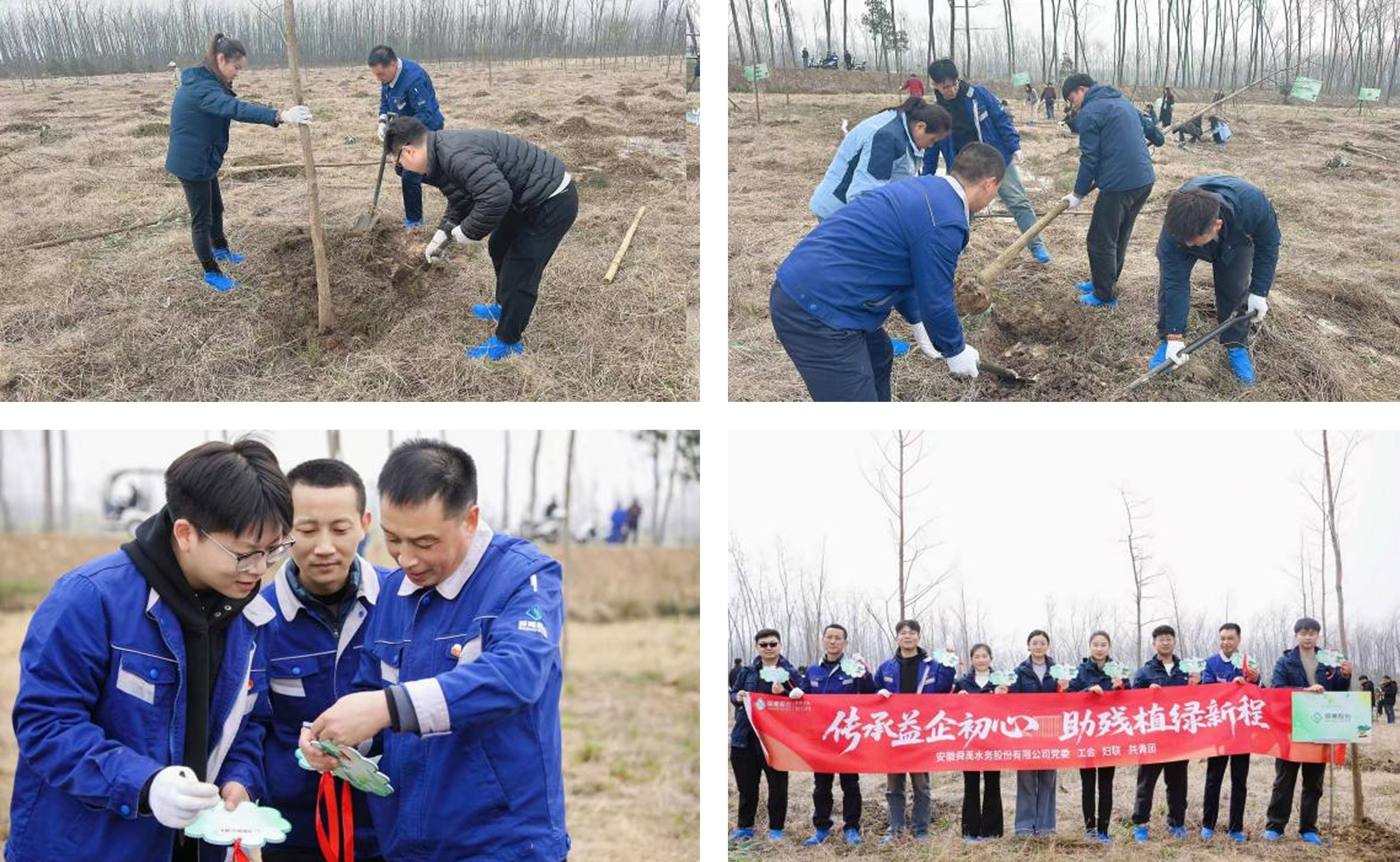 1774937982891.jpg compressed_image.jpg